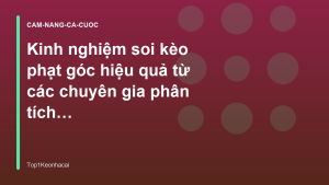 Read more about the article Kinh nghiệm soi kèo phạt góc hiệu quả từ các chuyên gia phân tích dữ liệu